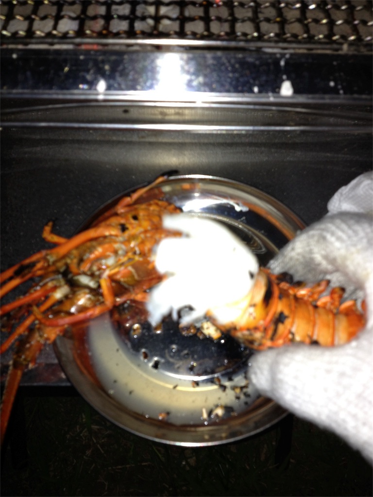 f:id:yassy410:20170516210258j:image