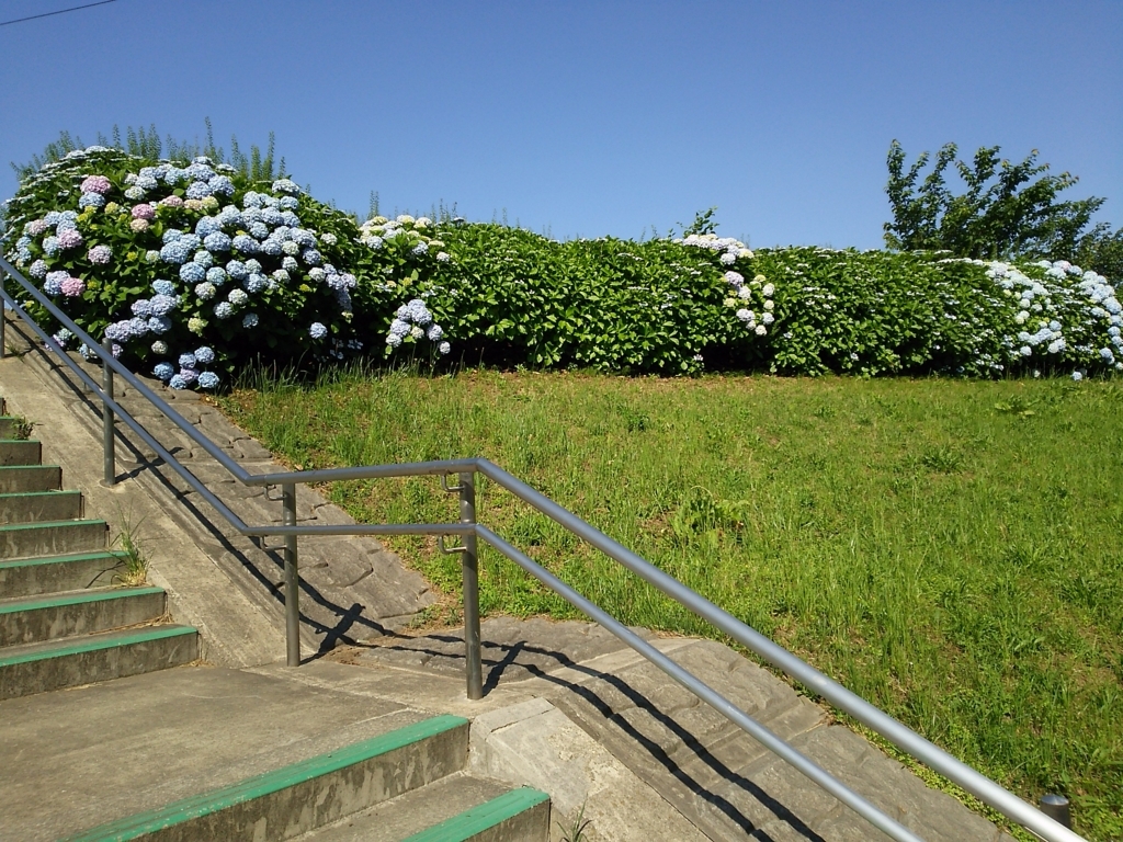 f:id:yasu-i1126:20180604082720j:plain
