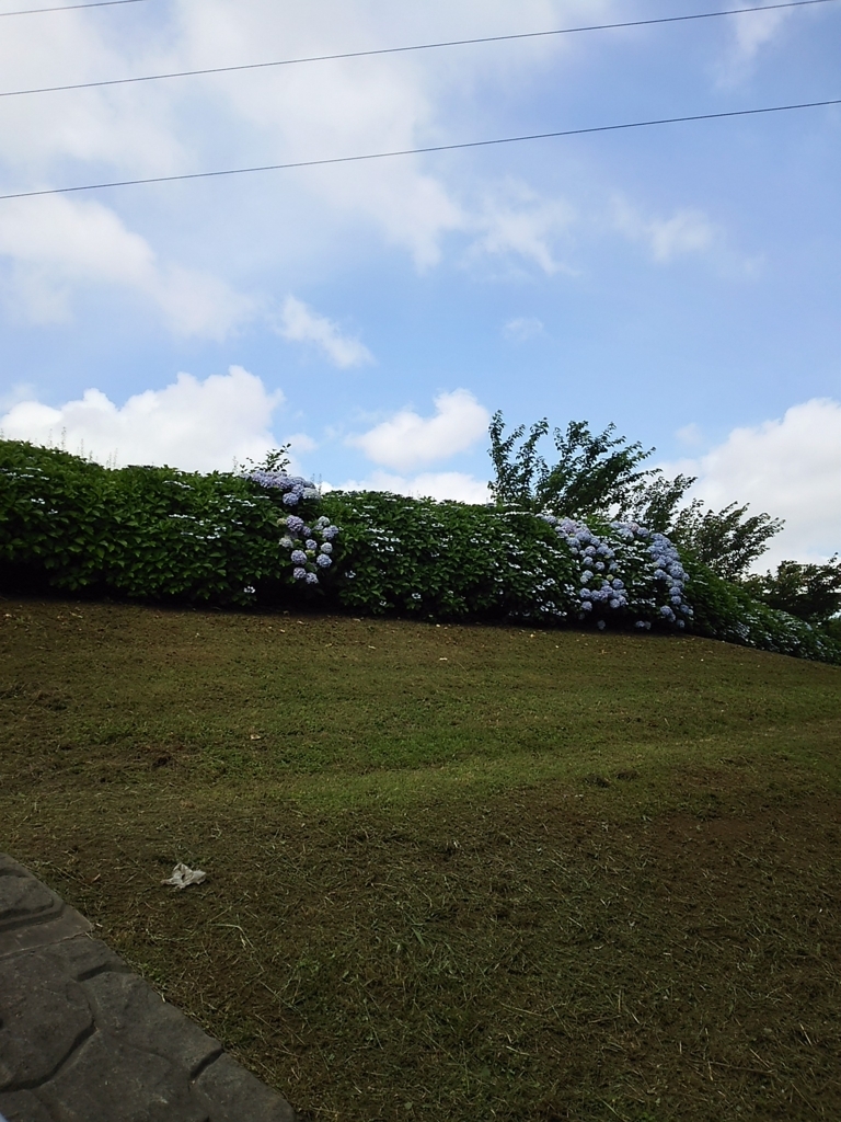 f:id:yasu-i1126:20180608133724j:plain