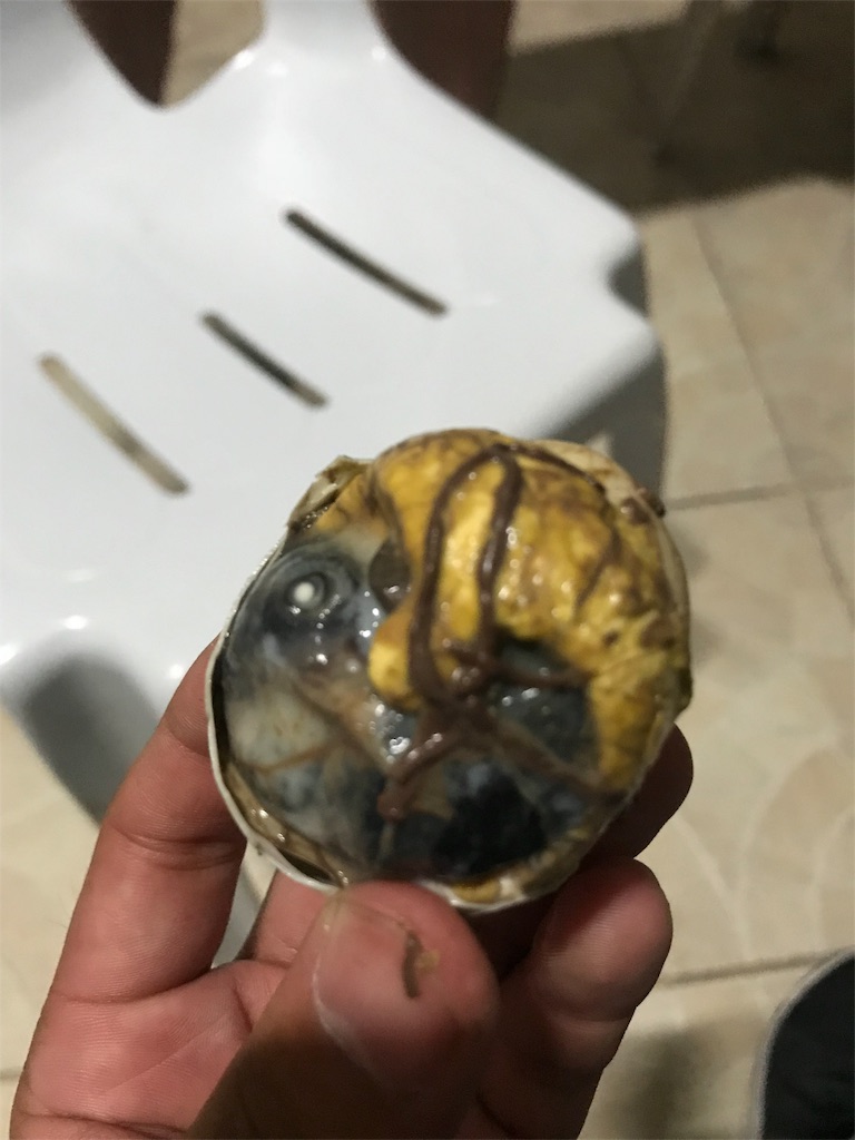 f:id:yasu0304:20180822003912j:image f:id:yasu0304:20180822003912j:image