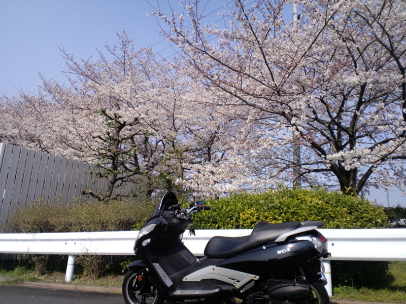 f:id:yasu813:20120408151601j:image