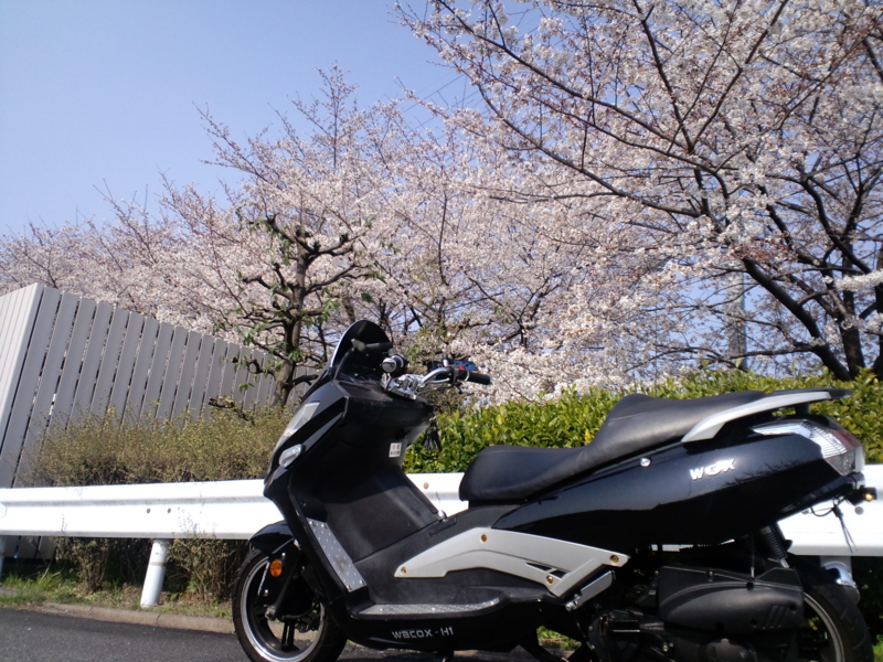 f:id:yasu813:20120408151633j:image