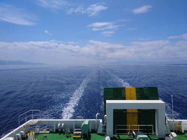 f:id:yasuLIKE:20240617214232j:image f:id:yasuLIKE:20240617214232j:image