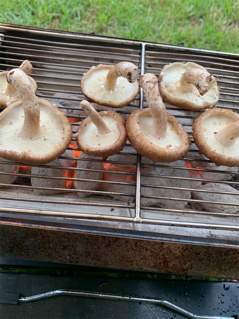 f:id:yasua3:20200724233819j:image