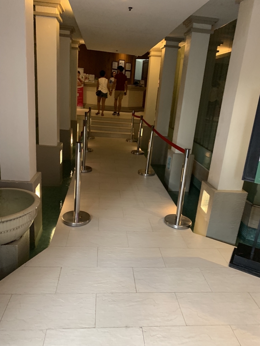 f:id:yasuaki-sakai:20190520130006j:plain f:id:yasuaki-sakai:20190520130006j:plain