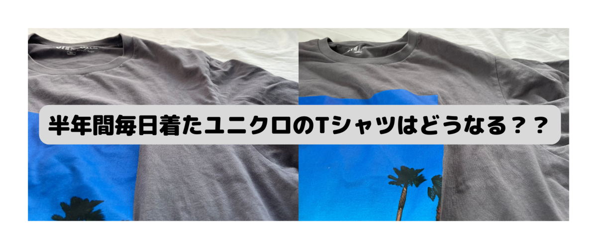 半年間毎日着用したユニクロのTシャツはどうなる？ - 古着と写真日記 