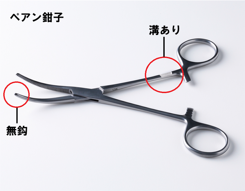 f:id:yasuaroma:20210228085848p:image f:id:yasuaroma:20210228085848p:image
