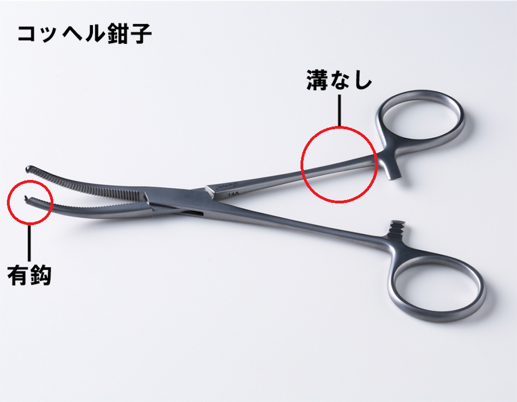 f:id:yasuaroma:20210228085859p:image f:id:yasuaroma:20210228085859p:image