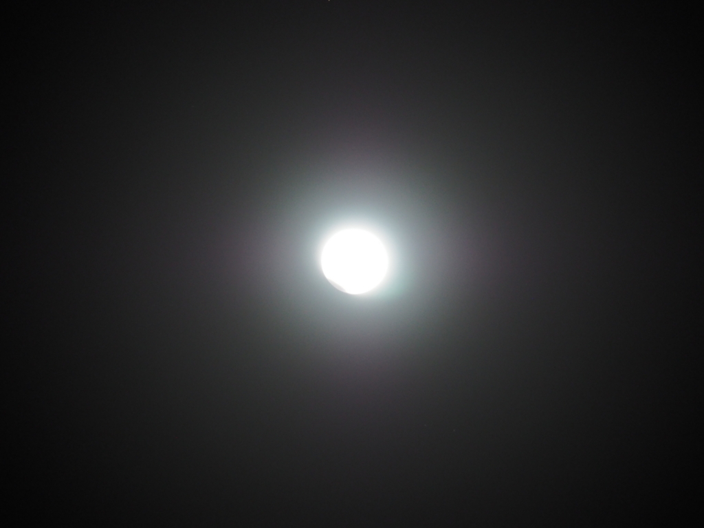 f:id:yasubelog:20180201083004j:plain