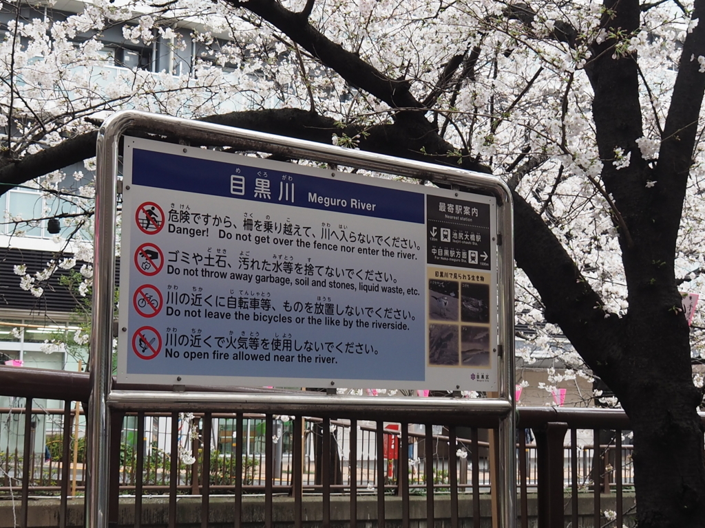 f:id:yasubelog:20180324142434j:plain
