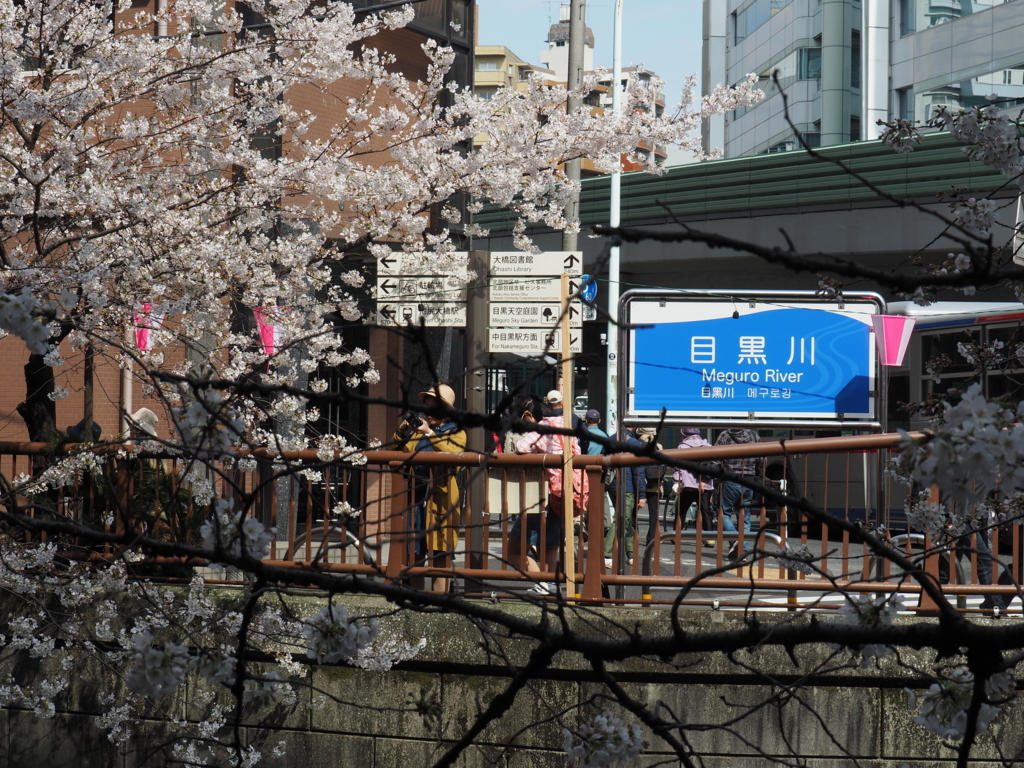 f:id:yasubelog:20180324143844j:plain