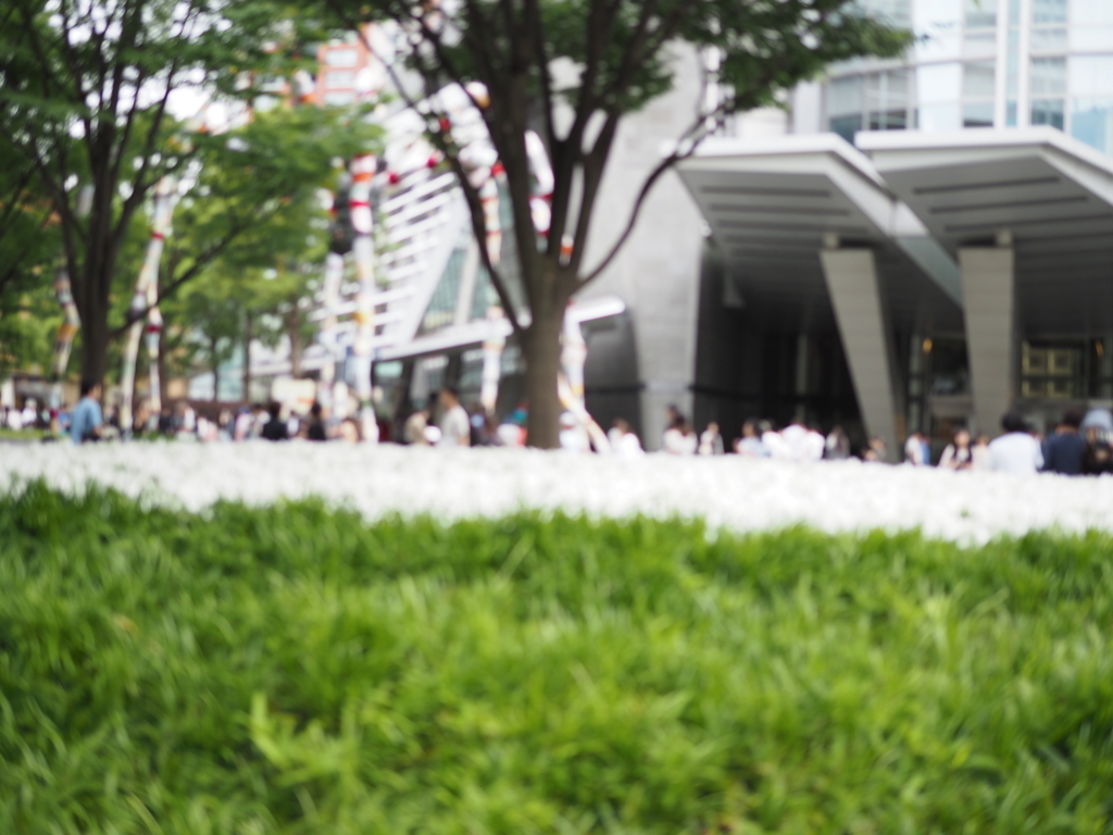 f:id:yasubelog:20180528090249j:plain