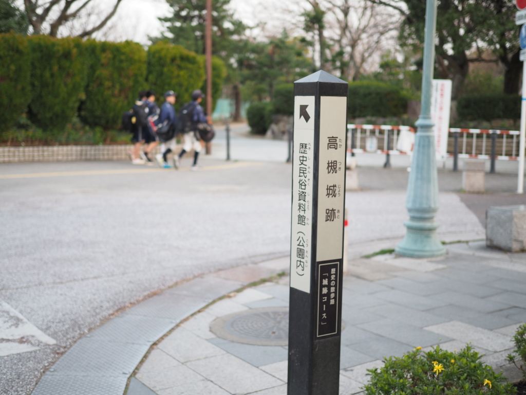 f:id:yasubelog:20190109000241j:plain