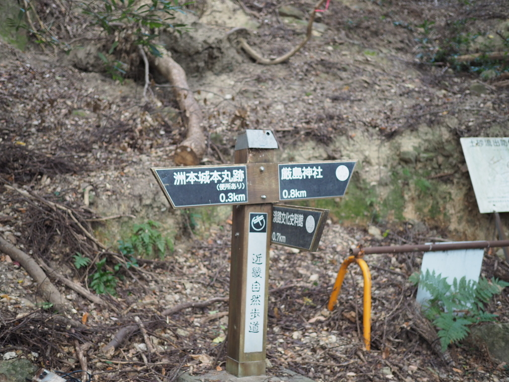 f:id:yasubelog:20190109221633j:plain