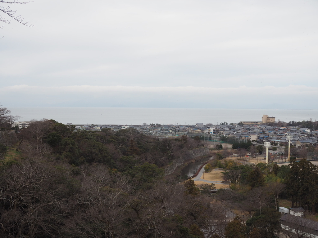 f:id:yasubelog:20190110234326j:plain