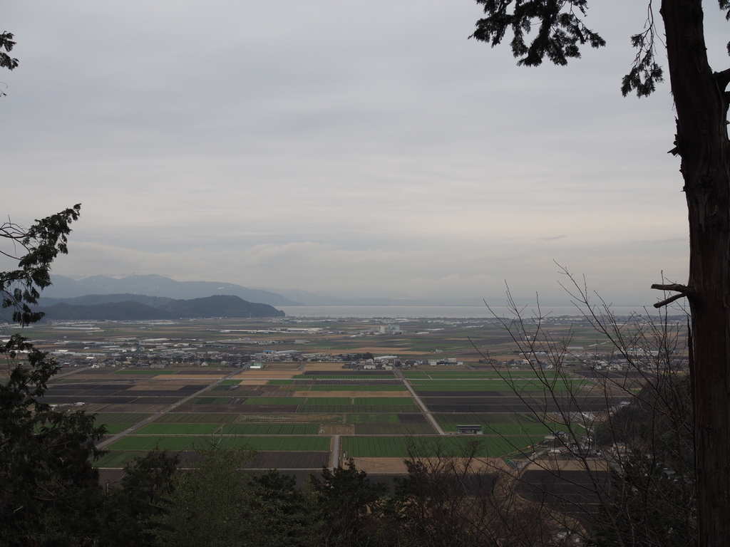 f:id:yasubelog:20190111133210j:plain