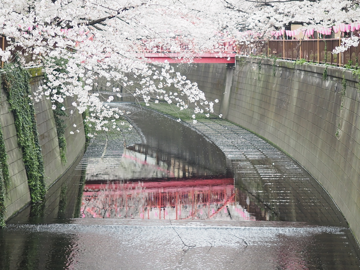 f:id:yasubelog:20190401004320j:plain