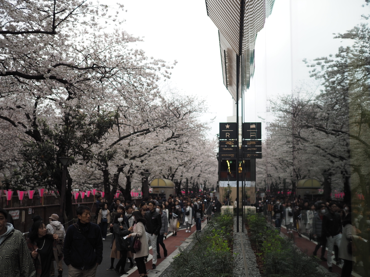 f:id:yasubelog:20190401005029j:plain