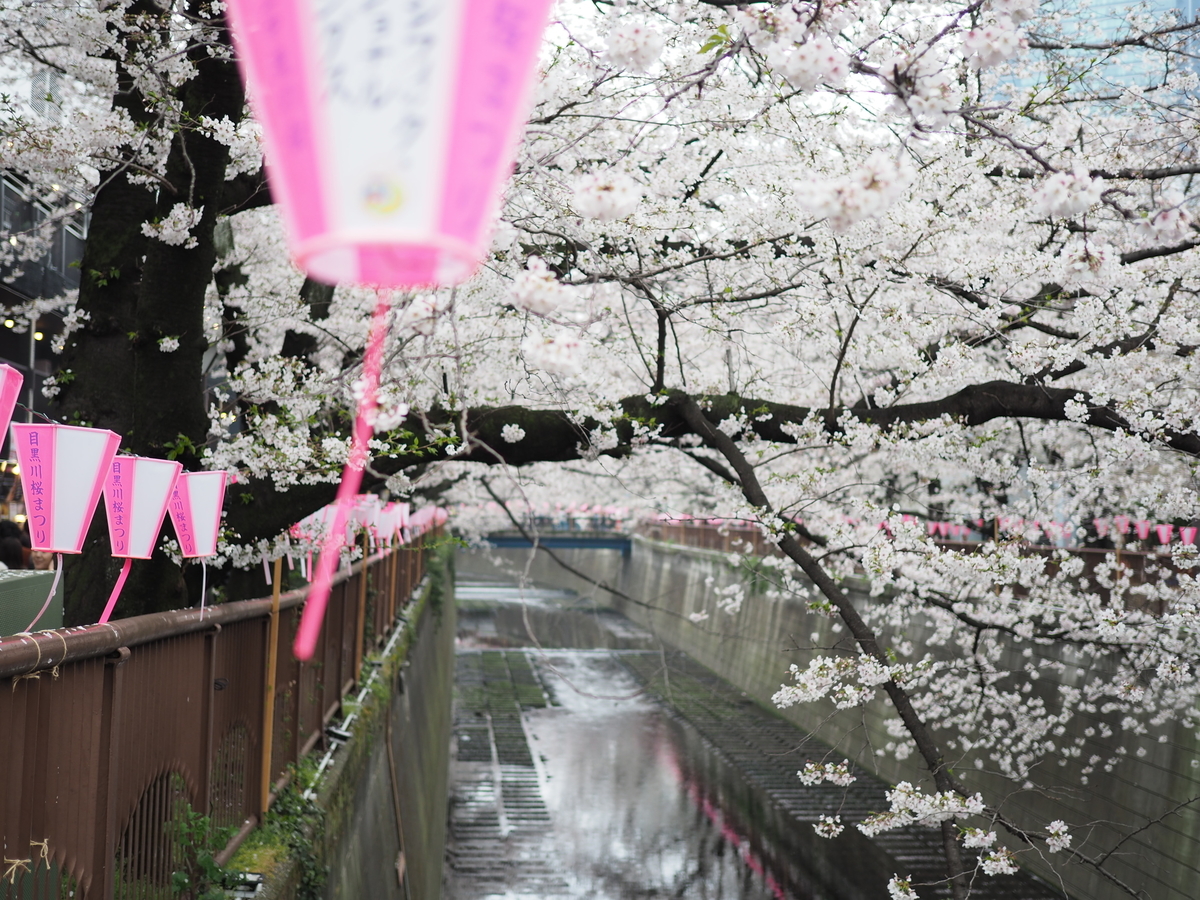 f:id:yasubelog:20190401005615j:plain