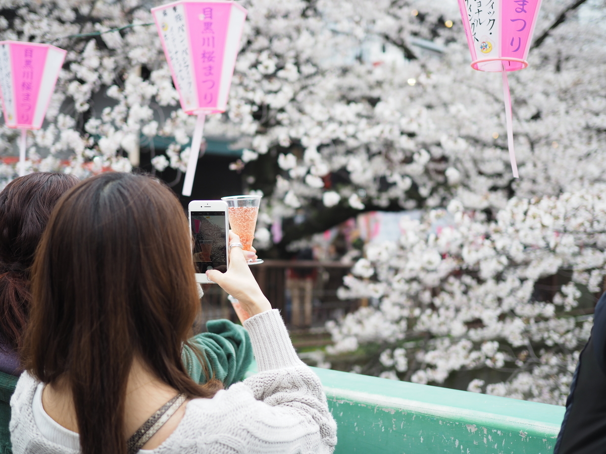 f:id:yasubelog:20190401005702j:plain