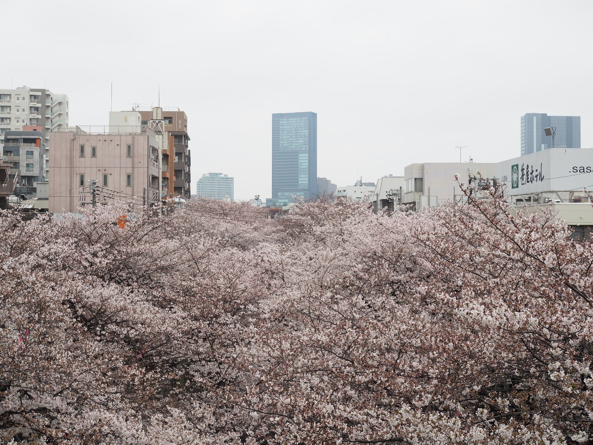 f:id:yasubelog:20190401011005j:plain