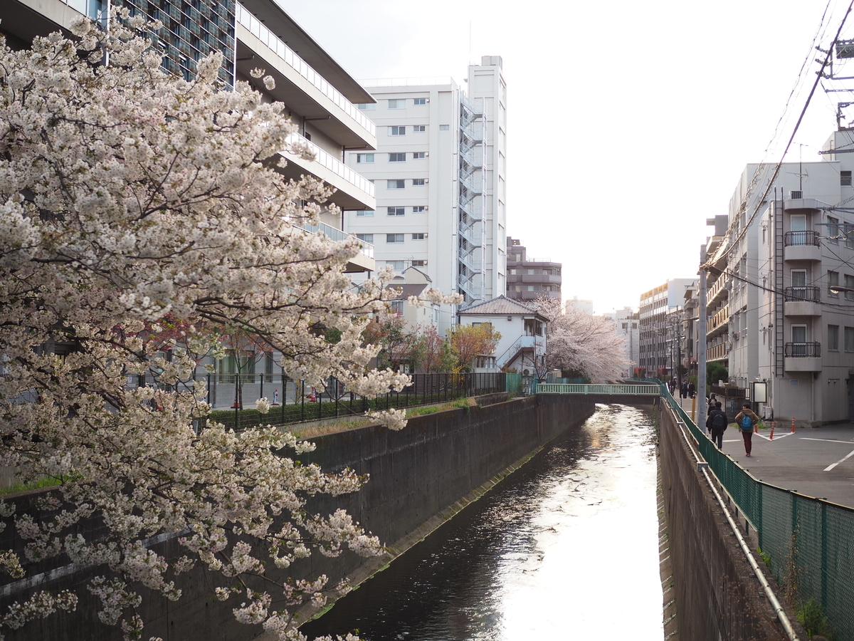 f:id:yasubelog:20190401012201j:plain