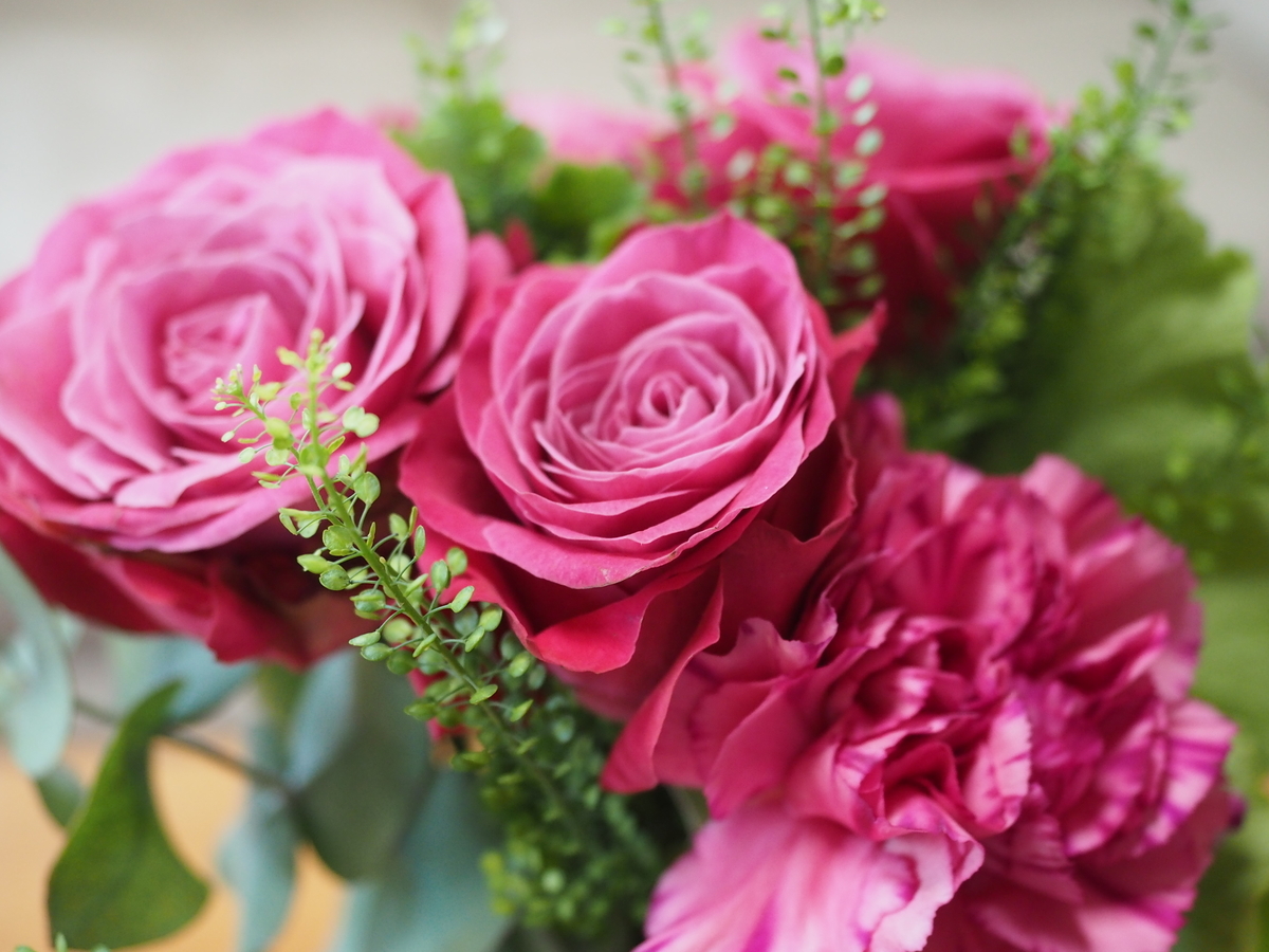 f:id:yasubelog:20191113230352j:plain f:id:yasubelog:20191113230352j:plain