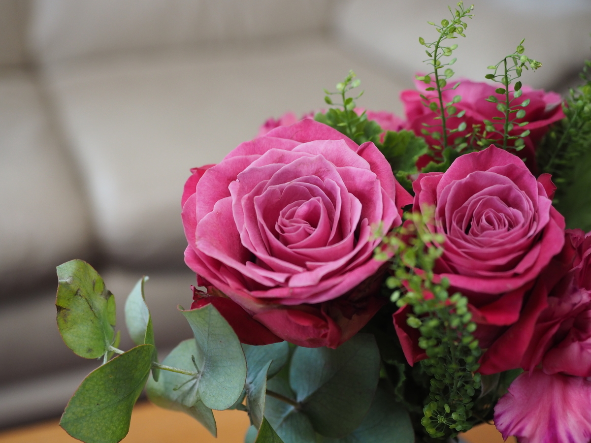 f:id:yasubelog:20191113230600j:plain f:id:yasubelog:20191113230600j:plain