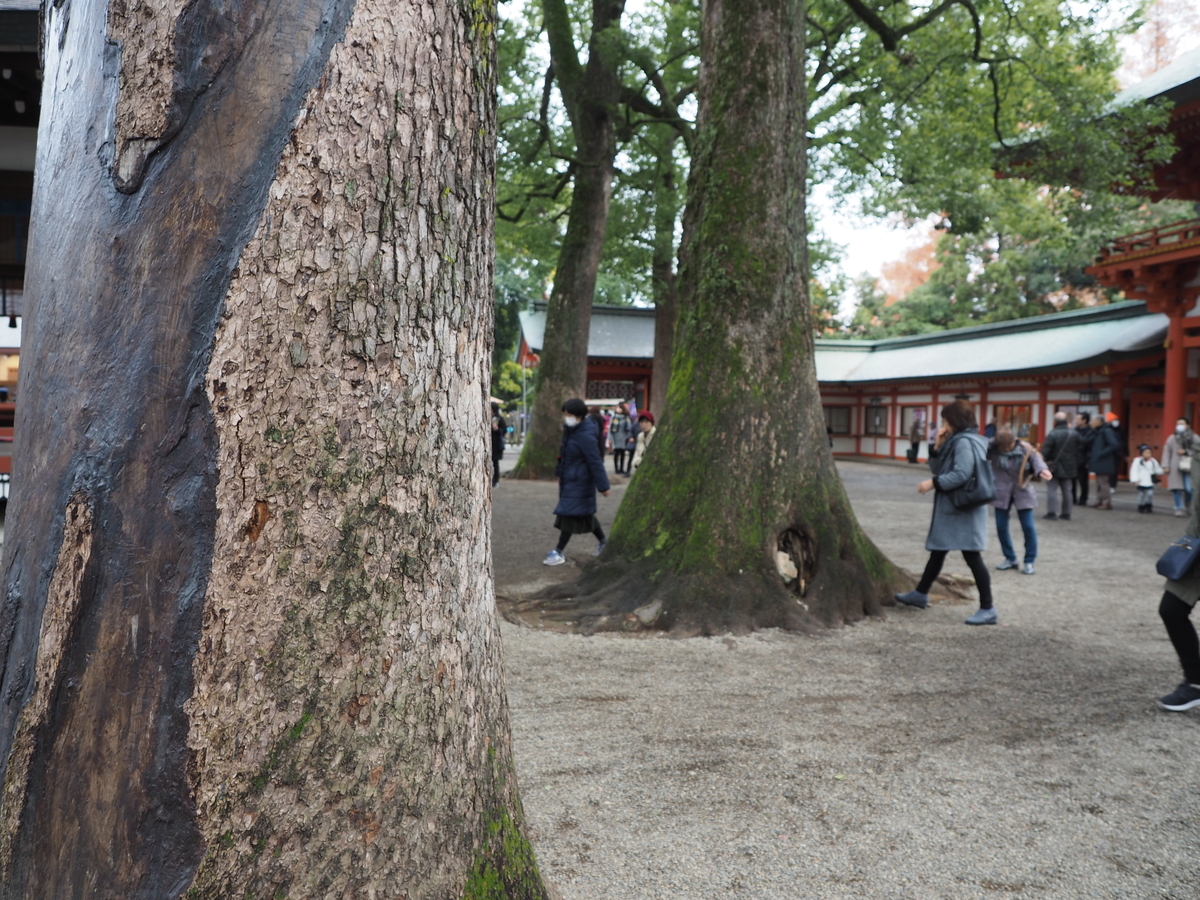 f:id:yasubelog:20191212230328j:plain f:id:yasubelog:20191212230328j:plain