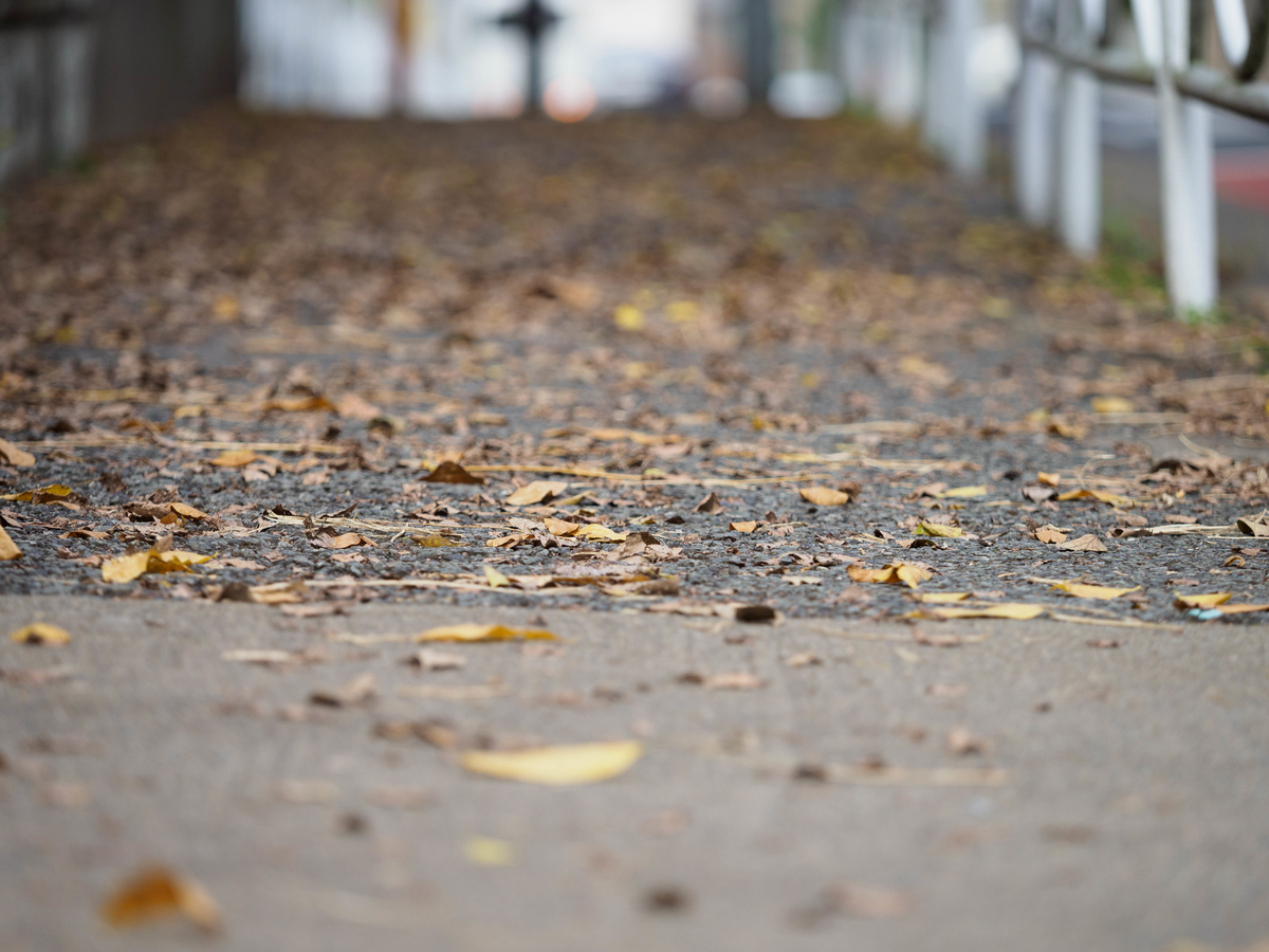 f:id:yasubelog:20201022090410j:plain