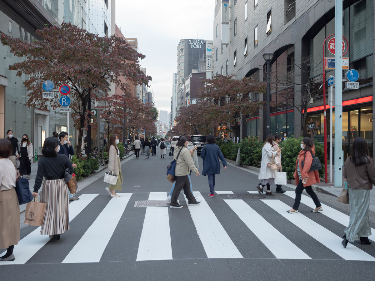 f:id:yasubelog:20201112100940j:plain