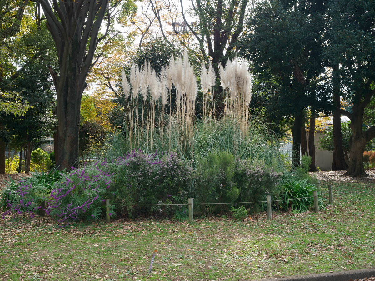 f:id:yasubelog:20201201103702j:plain