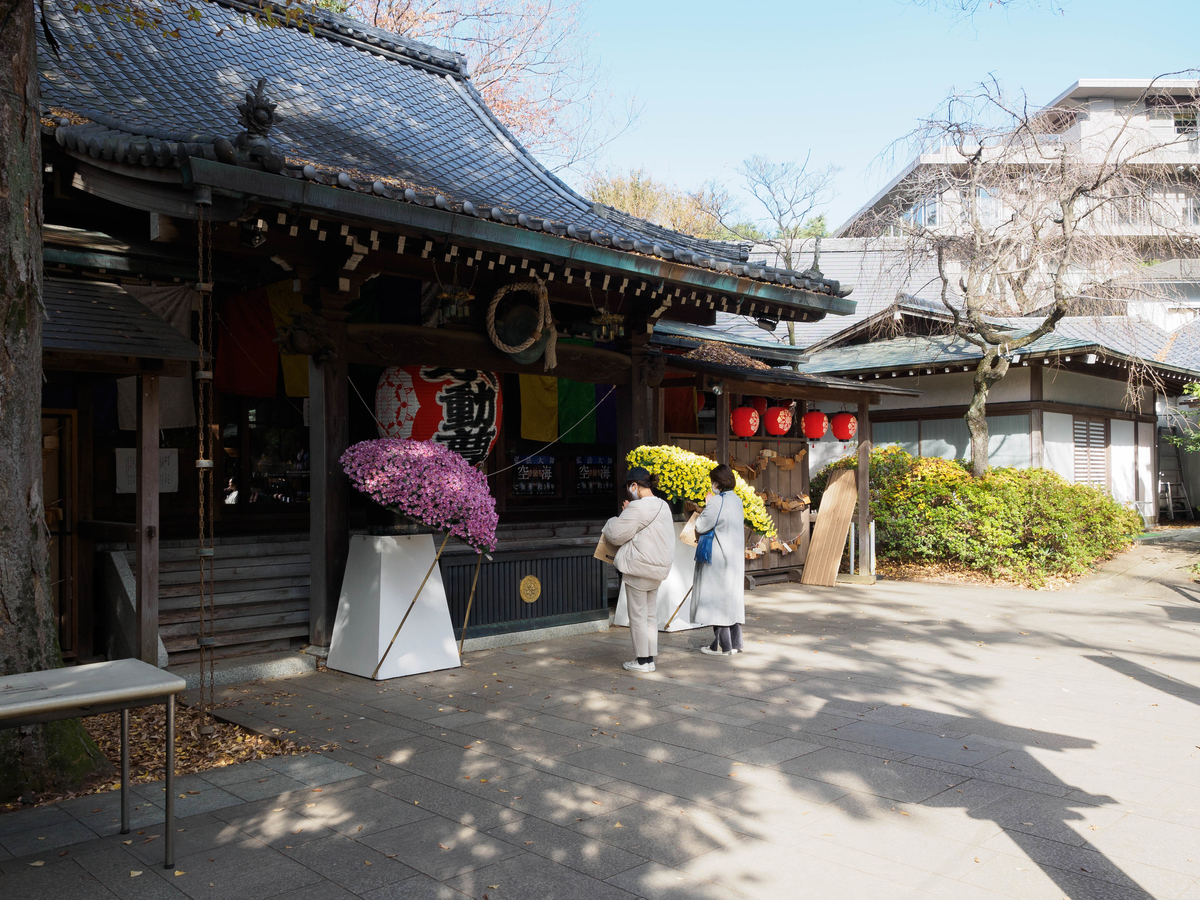 f:id:yasubelog:20201207093102j:plain