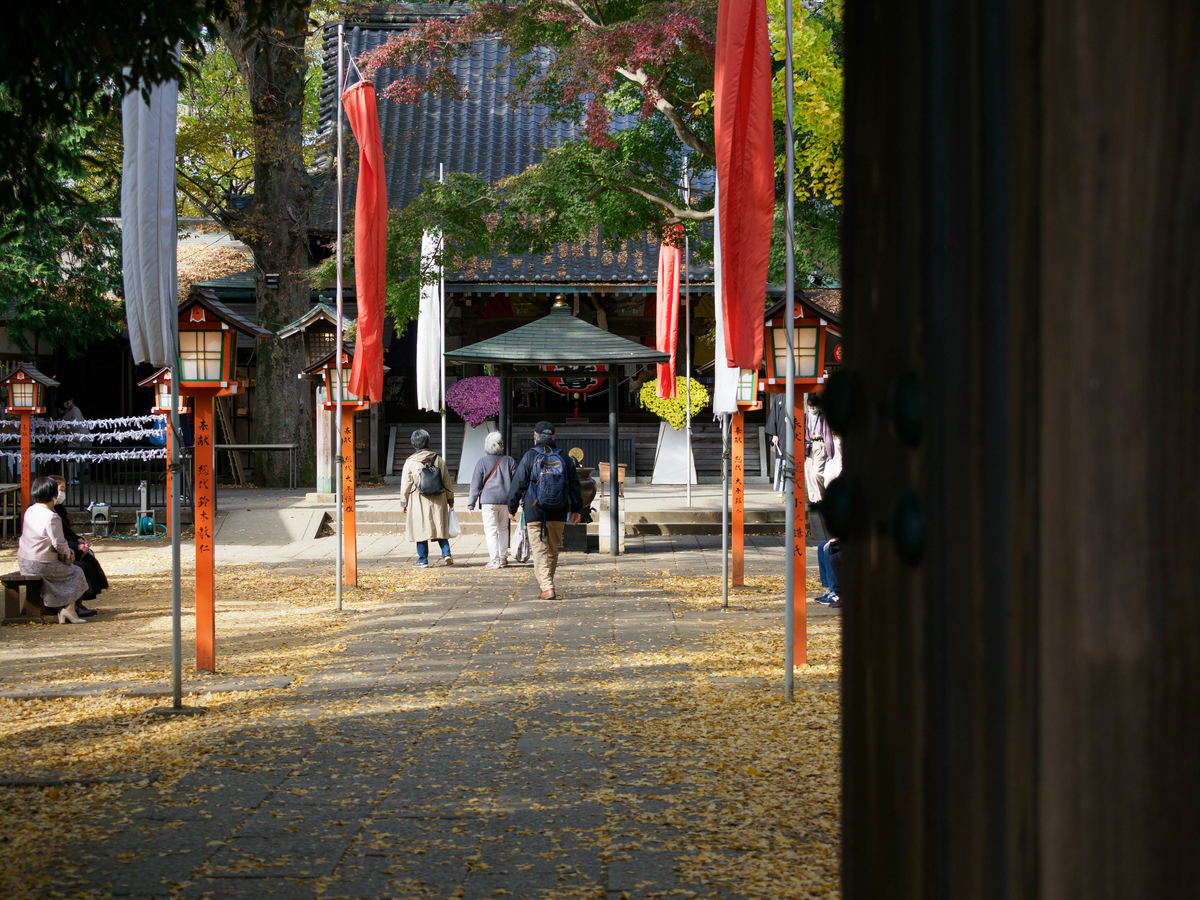 f:id:yasubelog:20201207095504j:plain