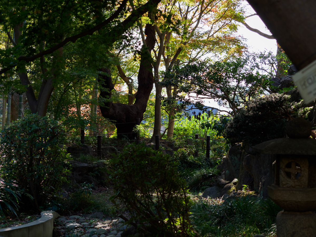 f:id:yasubelog:20201207095833j:plain