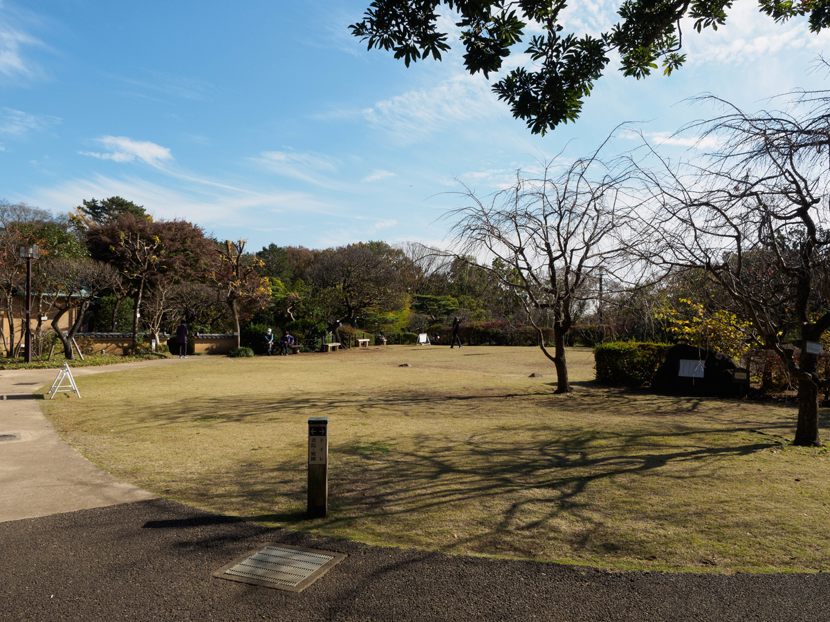 f:id:yasubelog:20201207100625j:plain