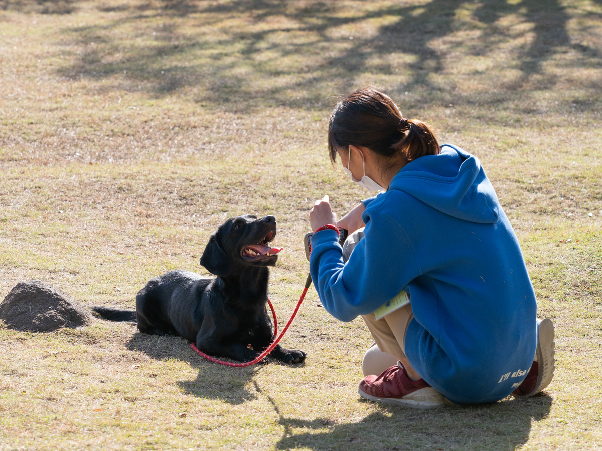 f:id:yasubelog:20201207100747j:plain