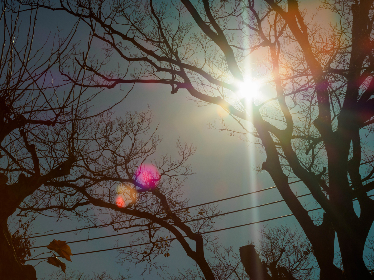 f:id:yasubelog:20201217111019j:plain