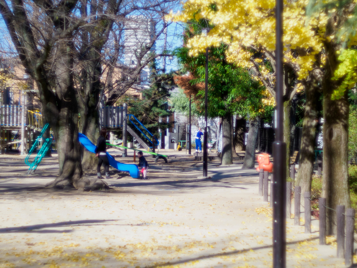 f:id:yasubelog:20201217111523j:plain