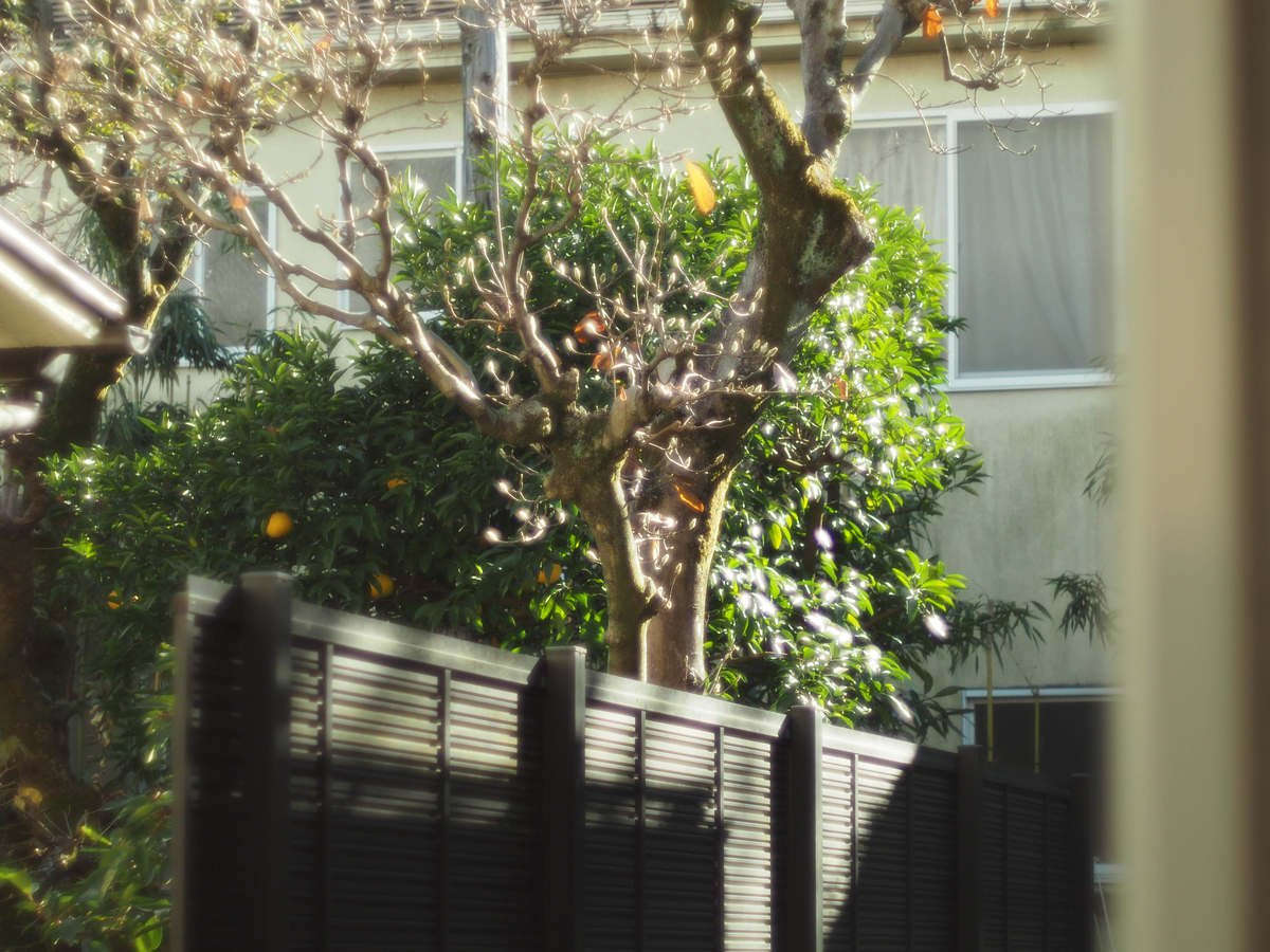 f:id:yasubelog:20201225010749j:plain