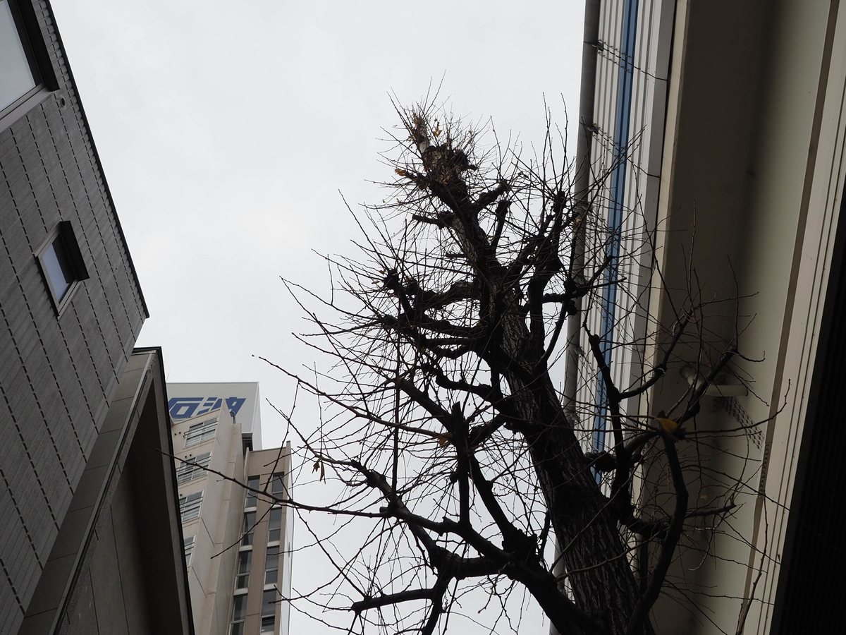 f:id:yasubelog:20210106204947j:plain