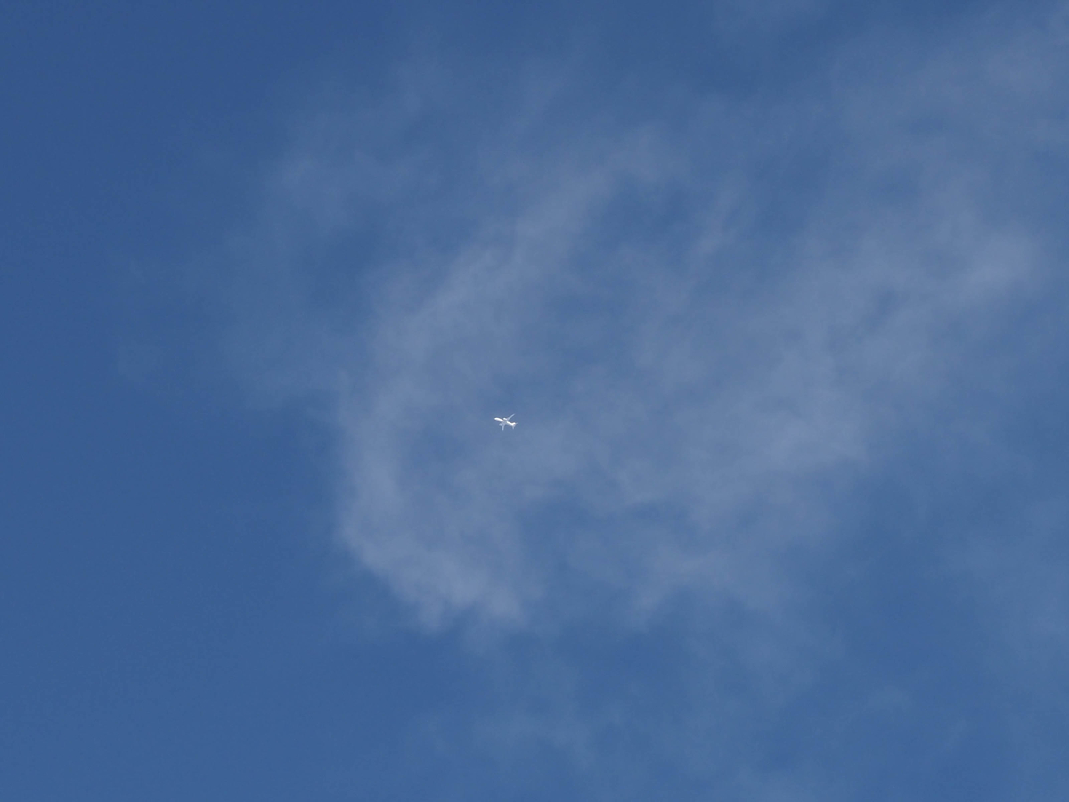 f:id:yasubelog:20210107205206j:plain