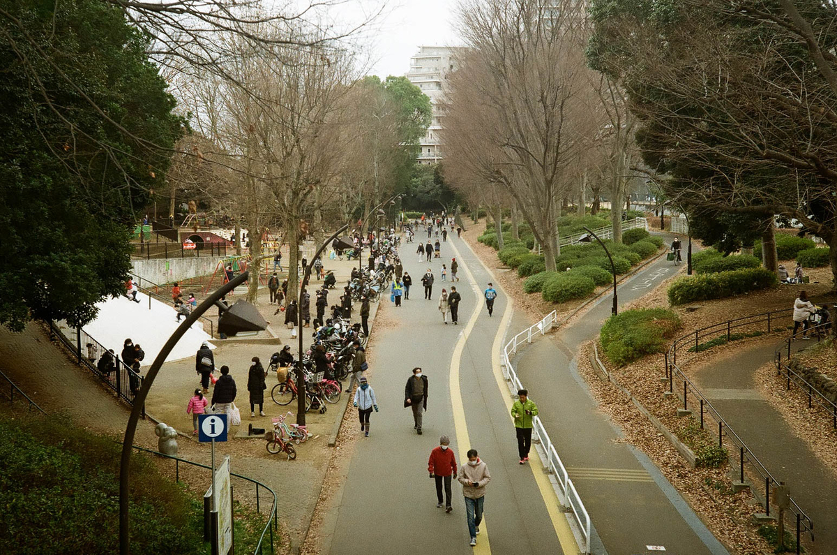 f:id:yasubelog:20210122093234j:plain