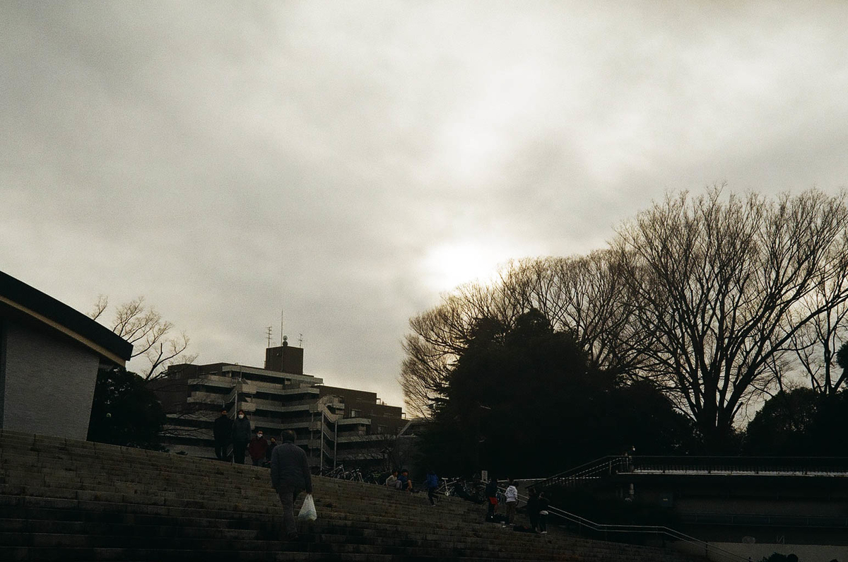 f:id:yasubelog:20210123010945j:plain