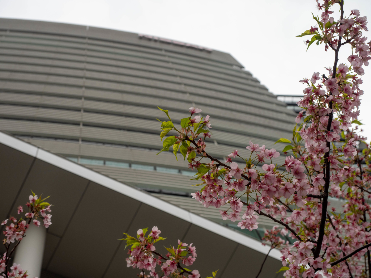 f:id:yasubelog:20210309091507j:plain