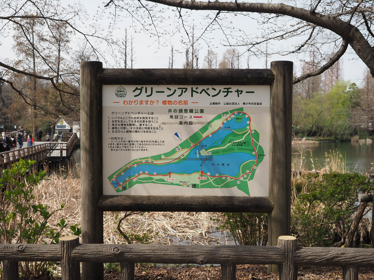 f:id:yasubelog:20210323085228j:plain