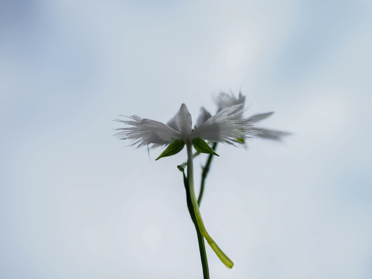 f:id:yasubelog:20210715224552j:plain