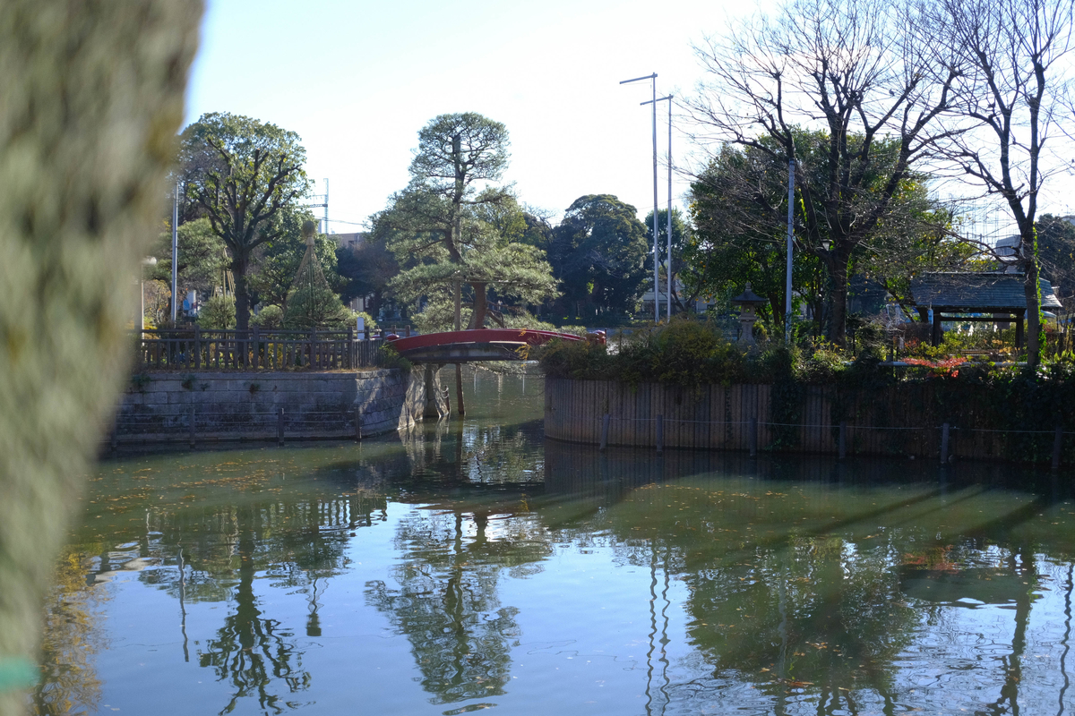 f:id:yasubelog:20220106002000j:plain