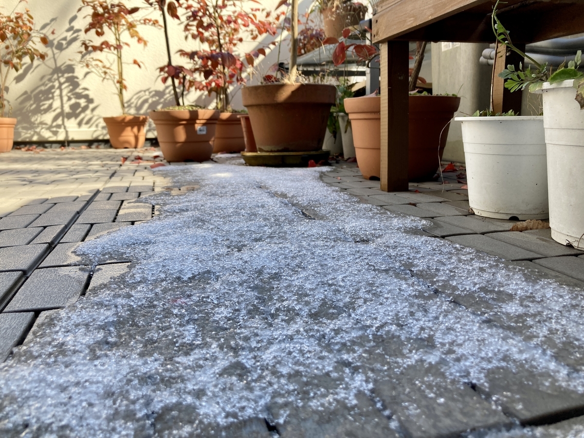 f:id:yasubelog:20220211131816j:plain