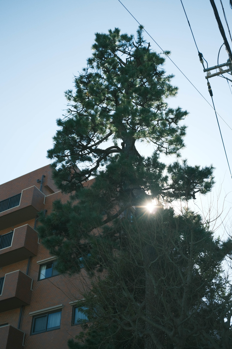 f:id:yasubelog:20220301104037j:plain